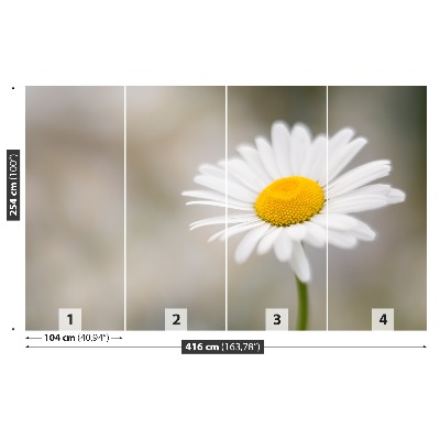 Papel de parede Camomila Branca