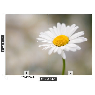 Papel de parede Camomila Branca