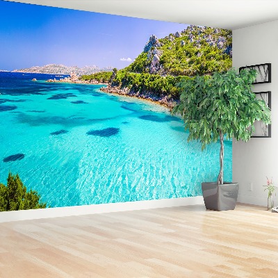 Papel de parede Mar da Sardenha