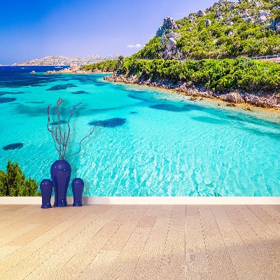 Papel de parede Mar da Sardenha