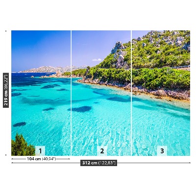Papel de parede Mar da Sardenha