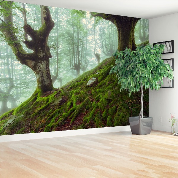 Mural de parede Floresta de faias