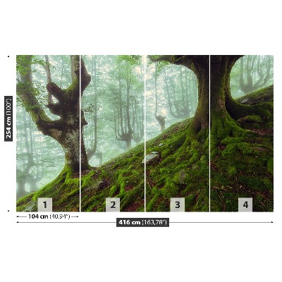 Mural de parede Floresta de faias