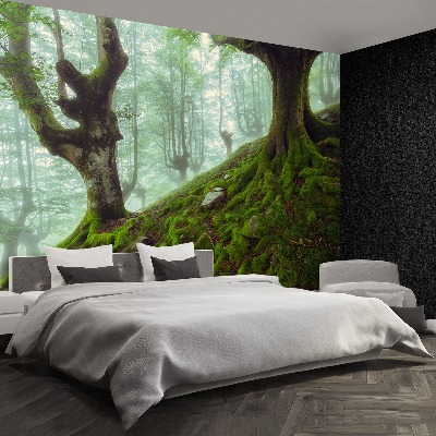 Mural de parede Floresta de faias