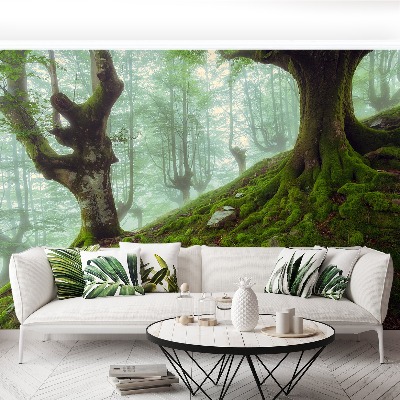 Mural de parede Floresta de faias