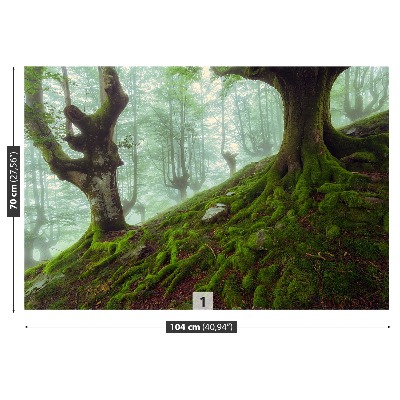 Mural de parede Floresta de faias