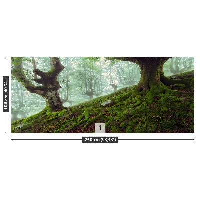 Mural de parede Floresta de faias