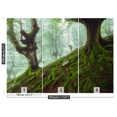 Mural de parede Floresta de faias