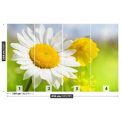 Mural de parede Flores de camomila