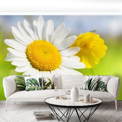 Mural de parede Flores de camomila