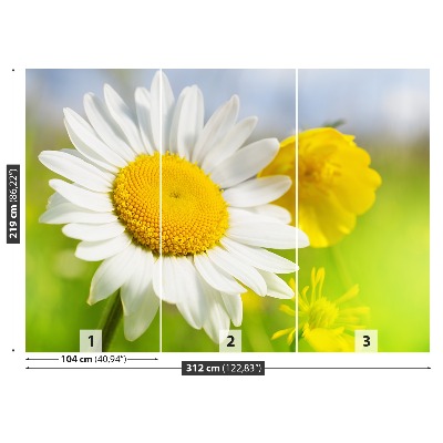 Mural de parede Flores de camomila