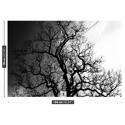 Papel de parede Árvore