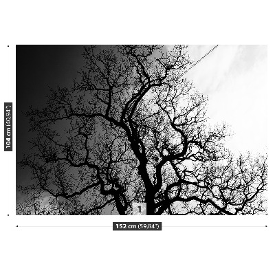 Papel de parede Árvore