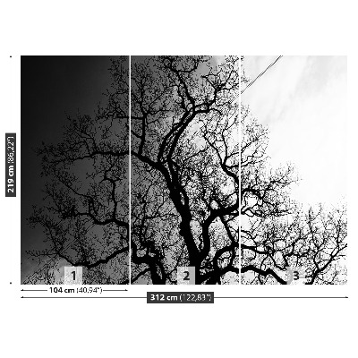 Papel de parede Árvore