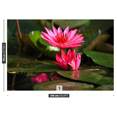 Mural de parede Lagoa de Lótus