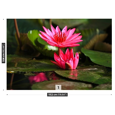 Mural de parede Lagoa de Lótus