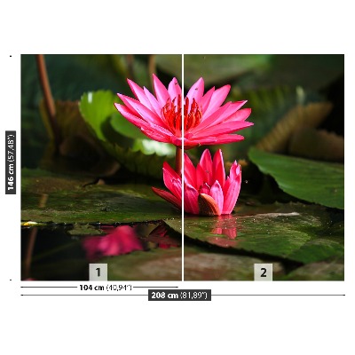 Mural de parede Lagoa de Lótus