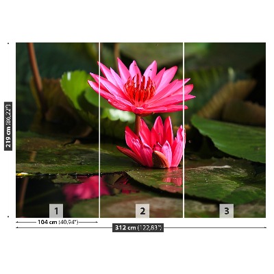 Mural de parede Lagoa de Lótus