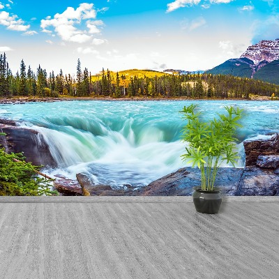 Mural de parede Parque Jasper