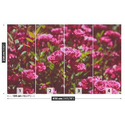 Papel de parede Rosas cor de rosa