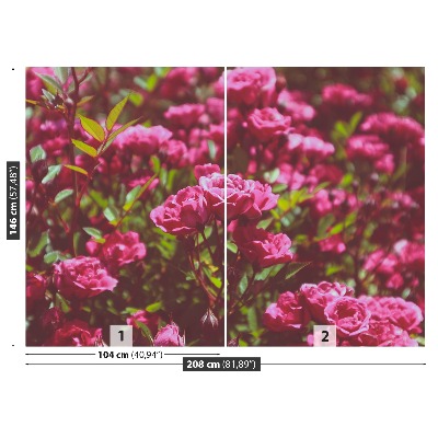 Papel de parede Rosas cor de rosa