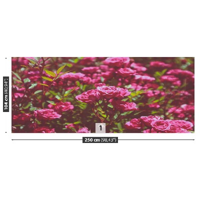 Papel de parede Rosas cor de rosa