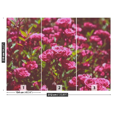 Papel de parede Rosas cor de rosa