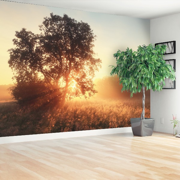 Papel de parede Árvore do Sol