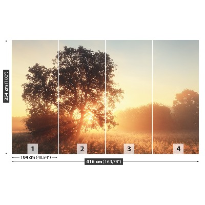 Papel de parede Árvore do Sol