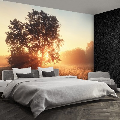 Papel de parede Árvore do Sol