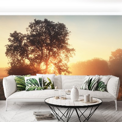 Papel de parede Árvore do Sol