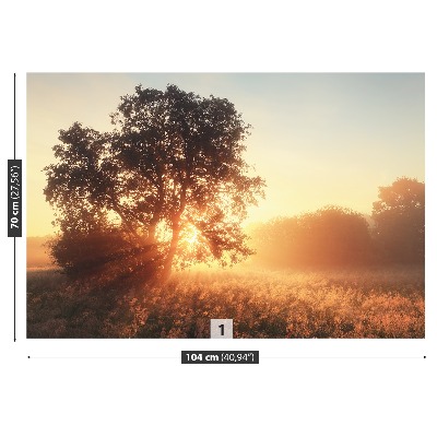 Papel de parede Árvore do Sol