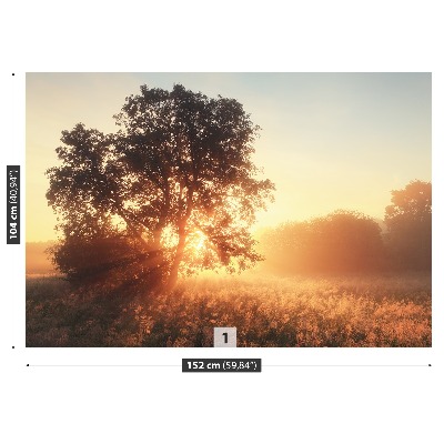 Papel de parede Árvore do Sol