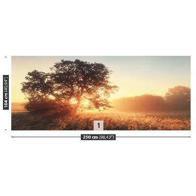 Papel de parede Árvore do Sol