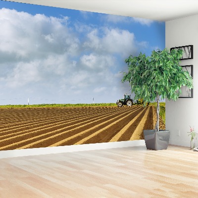 Mural de parede Campo da Normandia