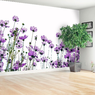 Mural de parede Flores cosmos