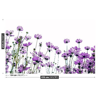 Mural de parede Flores cosmos