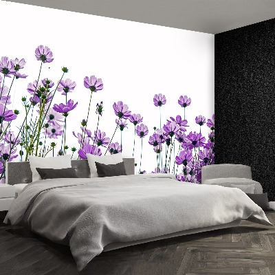 Mural de parede Flores cosmos