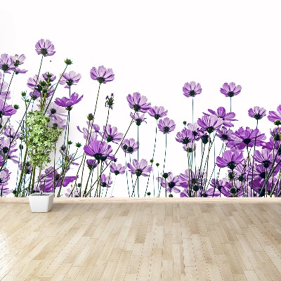 Mural de parede Flores cosmos