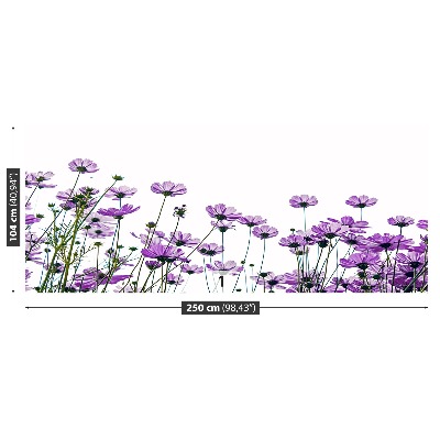 Mural de parede Flores cosmos