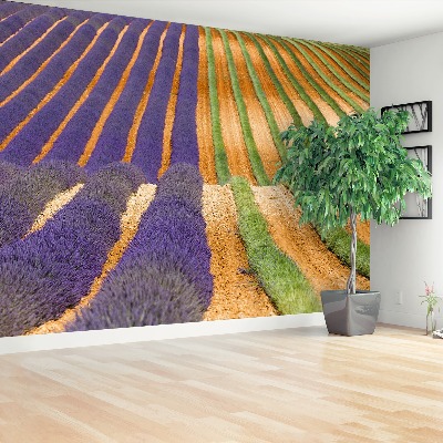 Mural de parede Provença França