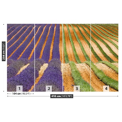 Mural de parede Provença França