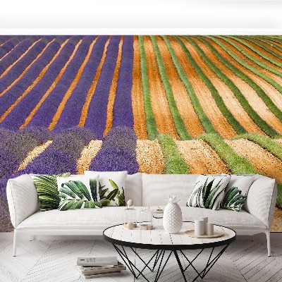Mural de parede Provença França