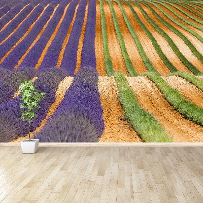 Mural de parede Provença França