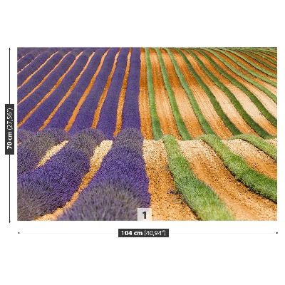 Mural de parede Provença França