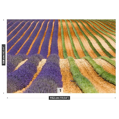 Mural de parede Provença França