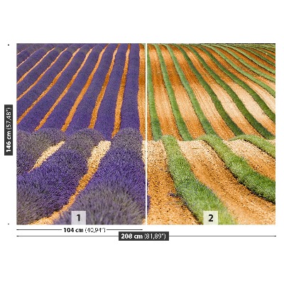 Mural de parede Provença França