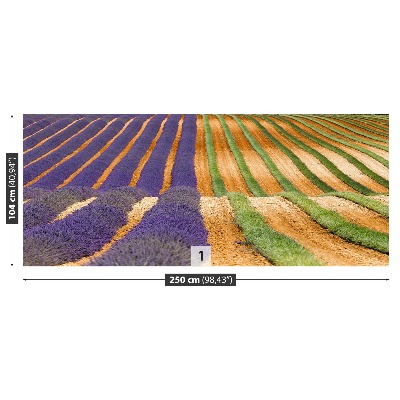 Mural de parede Provença França