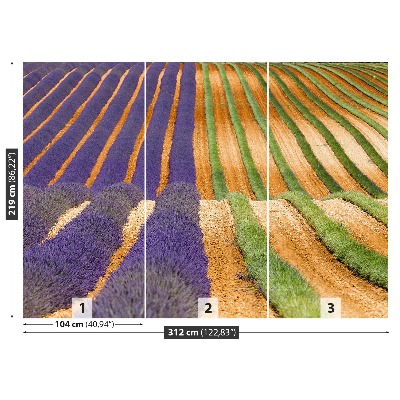 Mural de parede Provença França