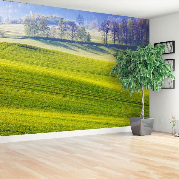 Papel de parede Prado